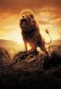Blu-Ray DVD - senaste inlägg av Lion_Paw