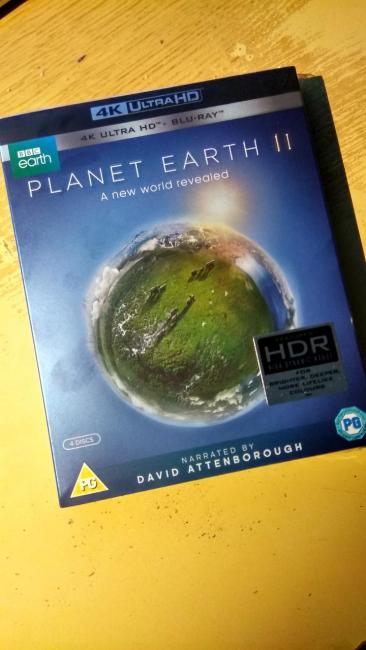 PLANE_EARTH_2_HDR.jpg