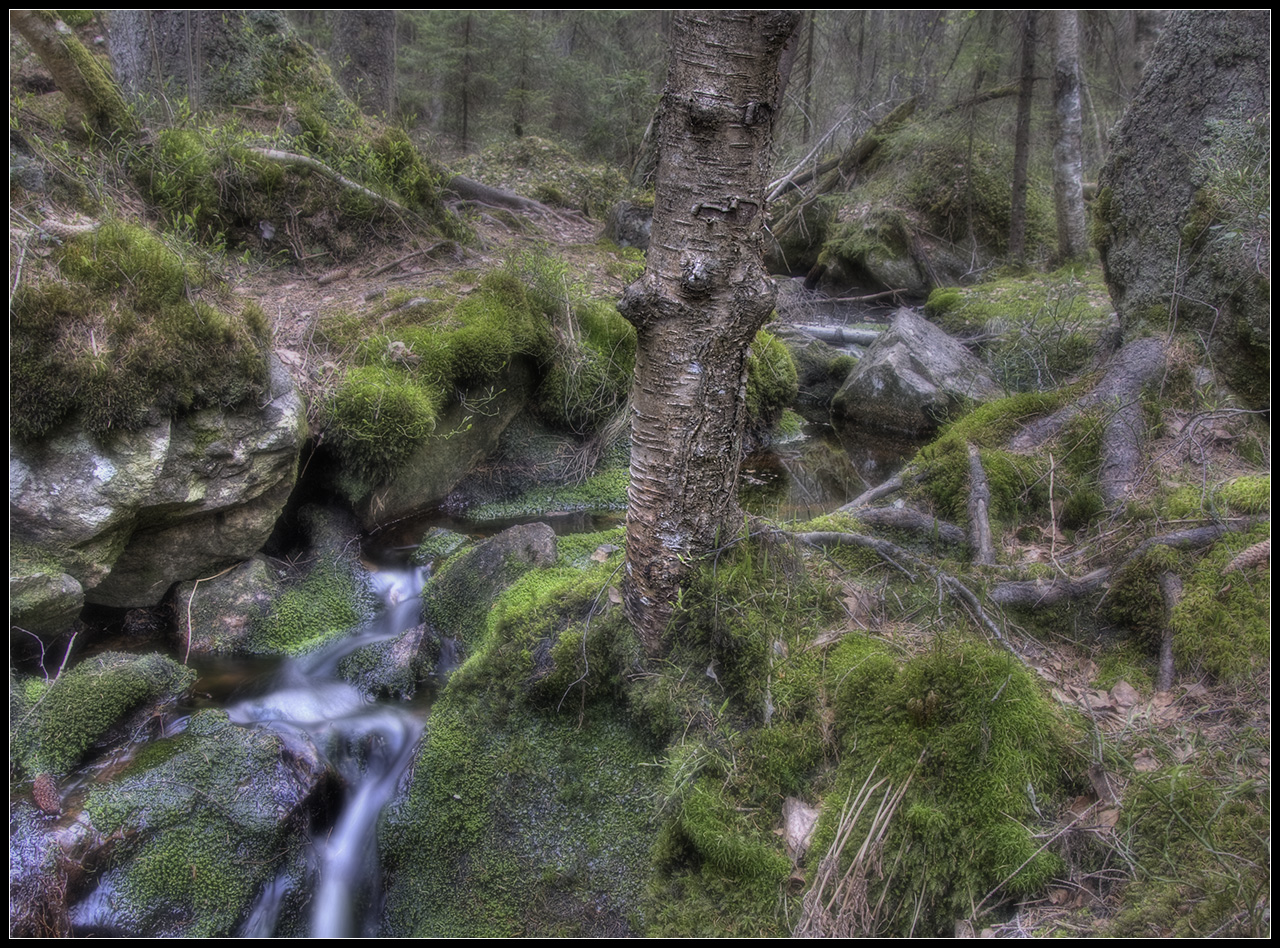 Postad bild