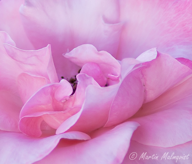 Postad bild